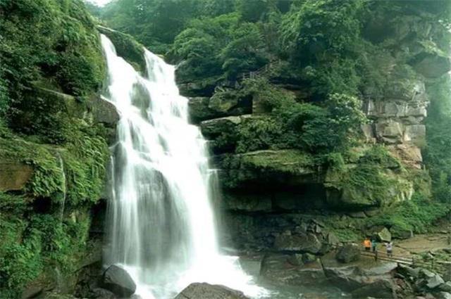 动物帮帮忙保卫家园